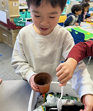 male student putting dirt in his pot